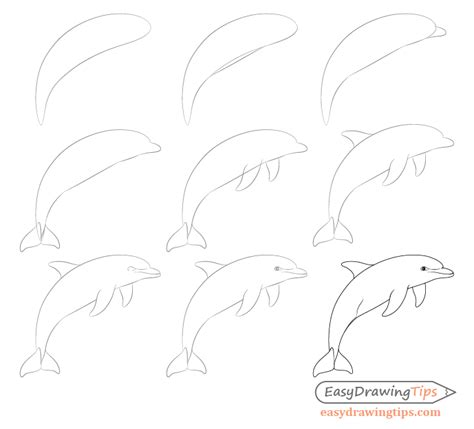 How to Draw a Dolphin Step by Step - EasyDrawingTips