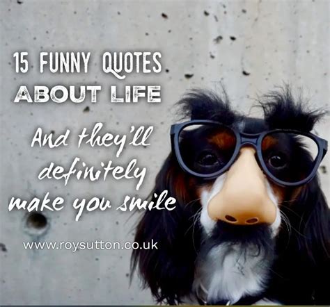 15 funny quotes about life that'll make you smile - Roy Sutton