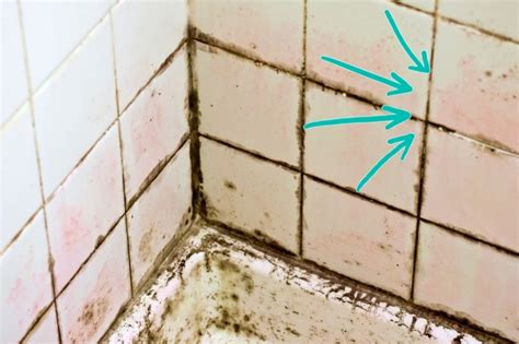 What Causes Pink 'Mould' in the Shower?