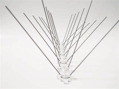 Stainless steel Bird Spike strips,4 row pins Clear UV Protected Base ...