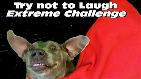 Try not to laugh (Extreme Challenge) 2014 ! - Mash-Up - YouTube