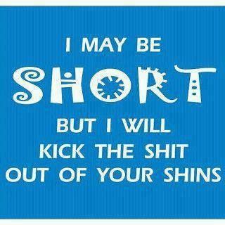 short people jokes because I am short | Short girl quotes, Funny quotes ...