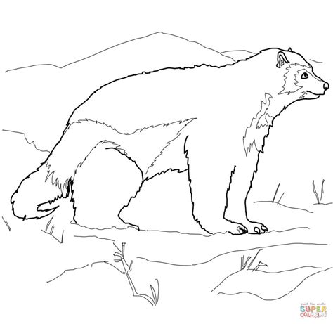 Wolverine Animal Drawing at GetDrawings | Free download