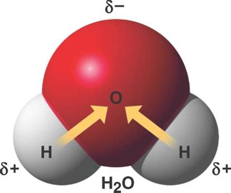 water_molecule.html 03_02WaterMolecules_L.jpg