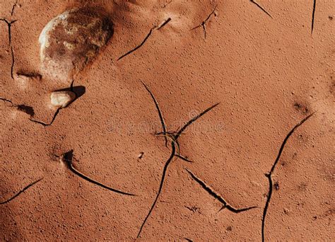 Cracked Ground in Desert Texture Stock Image - Image of dried, abstract ...