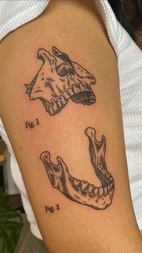 Jaw tattoo in 2022 | Simplistic tattoos, Sleeve tattoos, Body tattoos