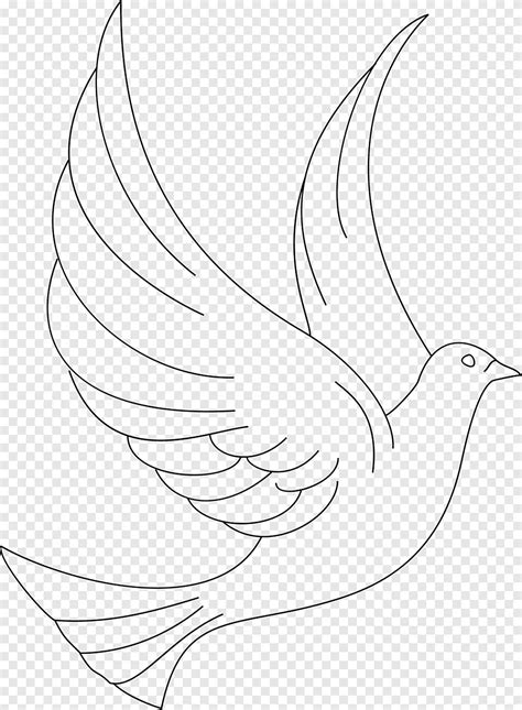 Coloring book Line art Drawing Bird, DOVE, white, animals png | PNGEgg