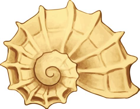 Ocean Border Clip Art Seashells