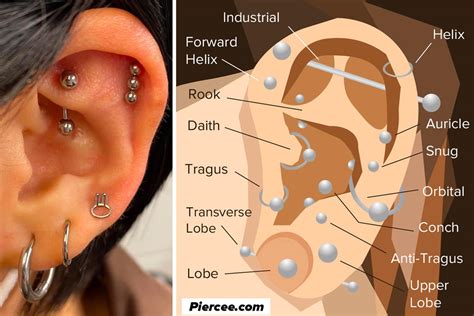 Ear Piercing Healing Guide at Jessica Jaffe blog