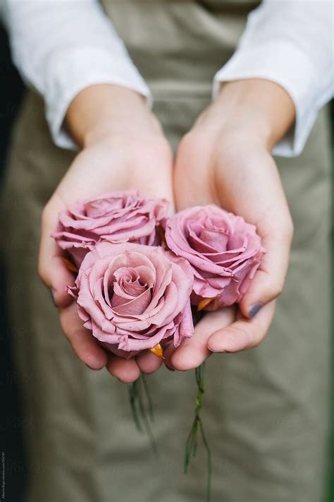 Woman Holding Roses | Stocksy United