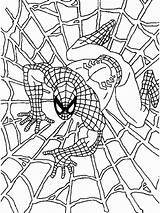 Free Printable Spiderman Coloring Pages For Kids sketch template