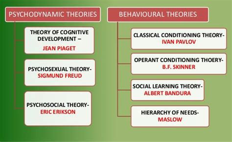 Theories of Child Psychology - NEET MDS Training - Focus