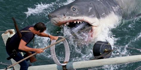 Everything Jaws Gets Wrong About Sharks | Screen Rant