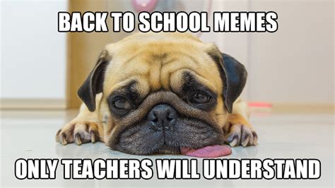 Back to School Memes Only Teachers Will Understand