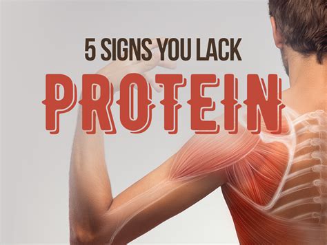 5 Signs You Lack Protein