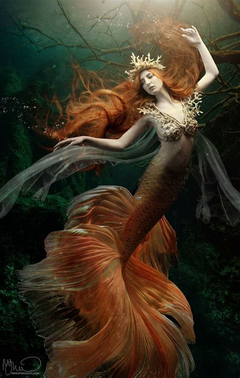 Wow, beautiful Mermaid | Mermaid artwork, Fantasy mermaids, Mermaid art