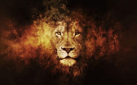 Lion of Judah Wallpapers - Top Free Lion of Judah Backgrounds - WallpaperAccess
