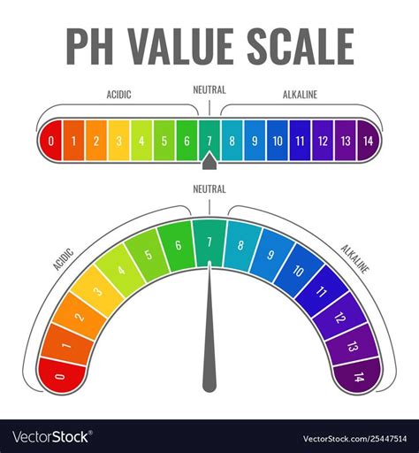 Ph alkaline acidic scale indicator water balance Vector Image , # ...