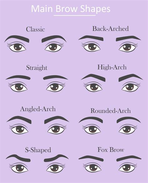 Common Eyebrow Shapes: How to Find Your Perfect Brow Shape | Eyebrow shape, Eyebrow shaping ...