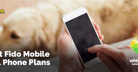 Best Fido Cell Phone Plans | WhistleOut