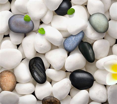 Pebbles Wallpapers - Top Free Pebbles Backgrounds - WallpaperAccess