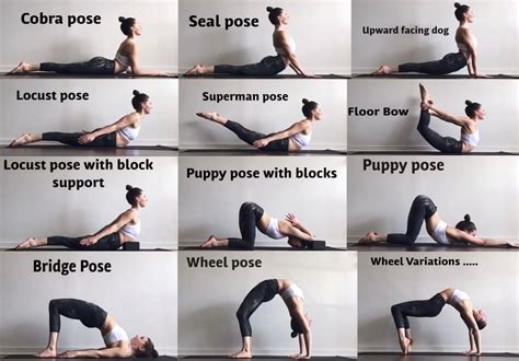 Pin by Elodia on Stretches | Yoga for flexibility, Back flexibility ...