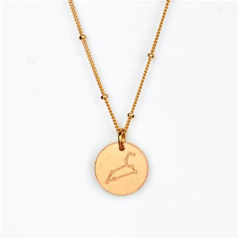 Leo Constellation Necklace with Monogram Engraving on Back - Danique ...