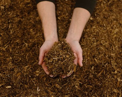 Opinion | Human Composting Should Be an Option for New Yorkers - The New York Times