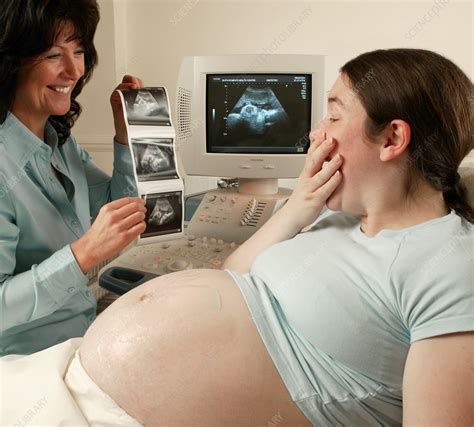 Pregnancy ultrasound - Stock Image - M406/0284 - Science Photo Library