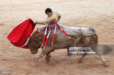 Bull And Matador Costume Photos and Premium High Res Pictures - Getty ...