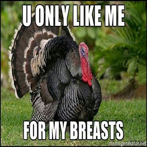 Pin by Kevin on Turkey Hunting | Funny turkey pictures, Funny ...