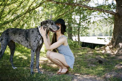 Full length of woman kissing Great Dane at park - CAVF24610 - Cavan ...