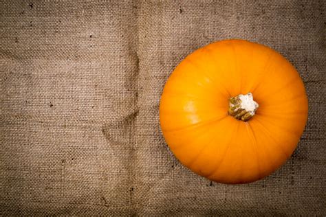Pumpkin On The Jute Background Free Stock Photo - Public Domain Pictures