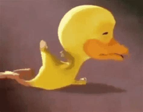 Tantrum Duck GIF – Tantrum Duck Crying – discover and share GIFs