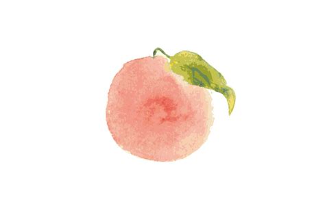 Watercolor peach new By ZerrineArt | TheHungryJPEG