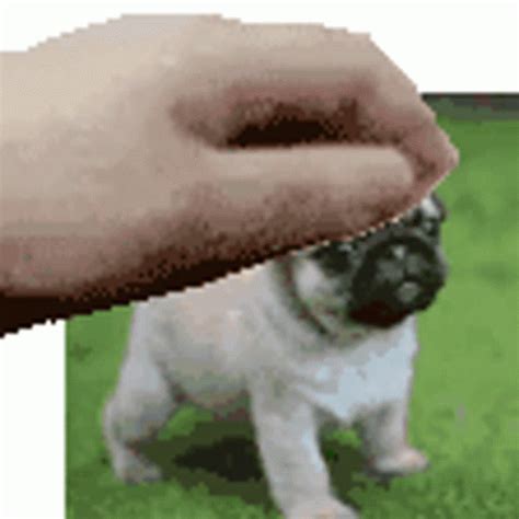 Cute Dog Sticker - Cute Dog - Discover & Share GIFs