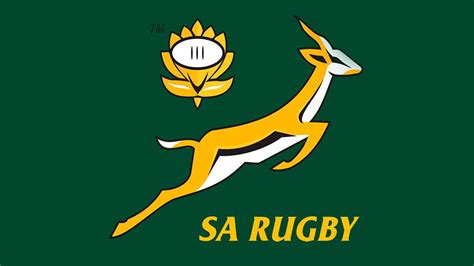 ANC wants Springbok logo removed