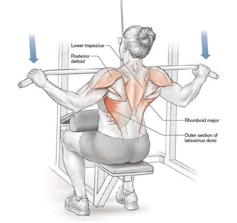 Wide Grip Lat Pulldown Exercise • Bodybuilding Wizard