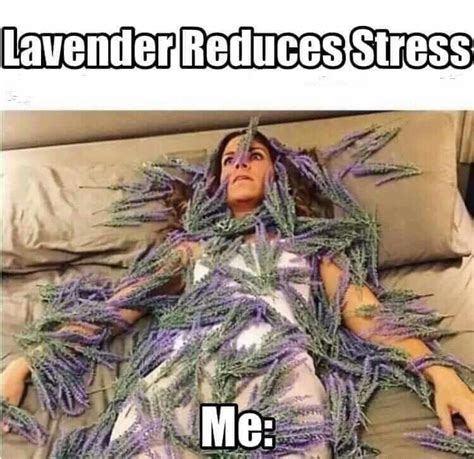 Stressed meme image by Jason Rowlette on Witty Humor | Funny pictures ...