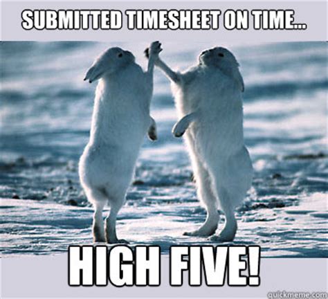 submitted timesheet on time... high five! - Bunny Bros - quickmeme