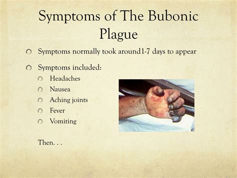 PPT - The Plague 1348 PowerPoint Presentation, free download - ID:2095925