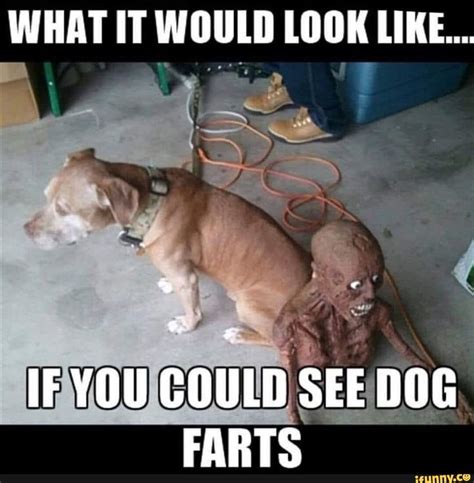 WHAT IT WOULD LOOK LIKE... IF YOU COULD SEE DOG FARTS - ) in 2021 | Dog ...