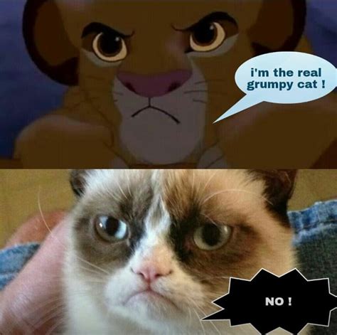 Lion King Grumpy Cat Meme Pictures Collections | Tuts[.]