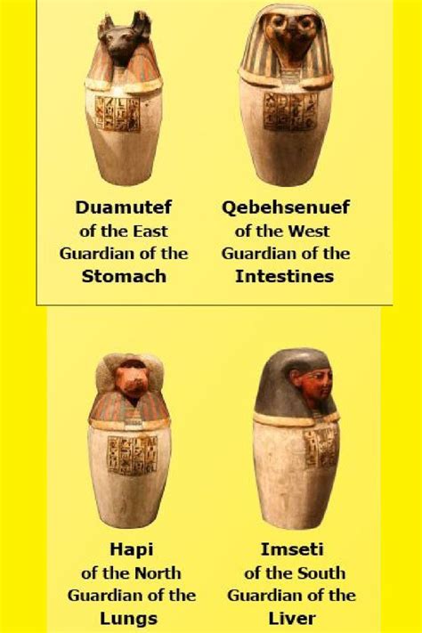 Canopic Jars in Ancient Egypt: Guardians of the Deceased's Viscera