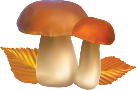 mushroom clipart gif - Clip Art Library