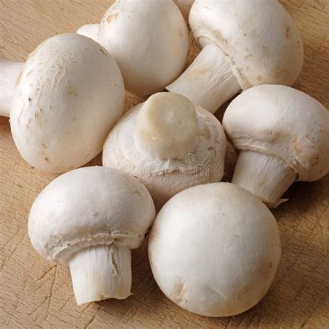 150+ Button mushrooms Free Stock Photos - StockFreeImages