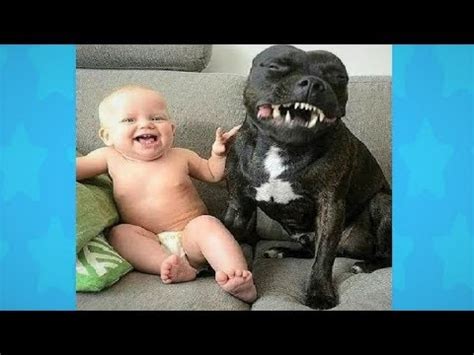 Adorable Dogs Playing With Babies - Funny Babies Compilation 2018 - YouTube