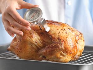 Where to Put Thermometer In Turkey and More! - CookThink