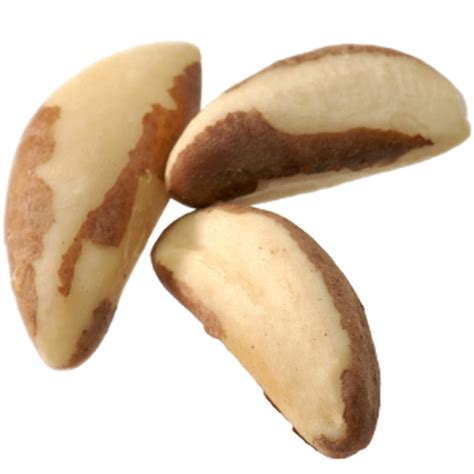 Jumbo Raw Brazil Nuts • Bulk Brazil Nuts • Bulk Nuts & Seeds • Oh! Nuts®