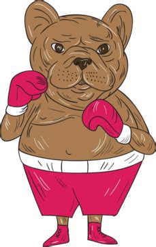 French Bulldog Boxer Boxing Stance Cartoon Front View Boxer French Bulldog Vector, Front View ...